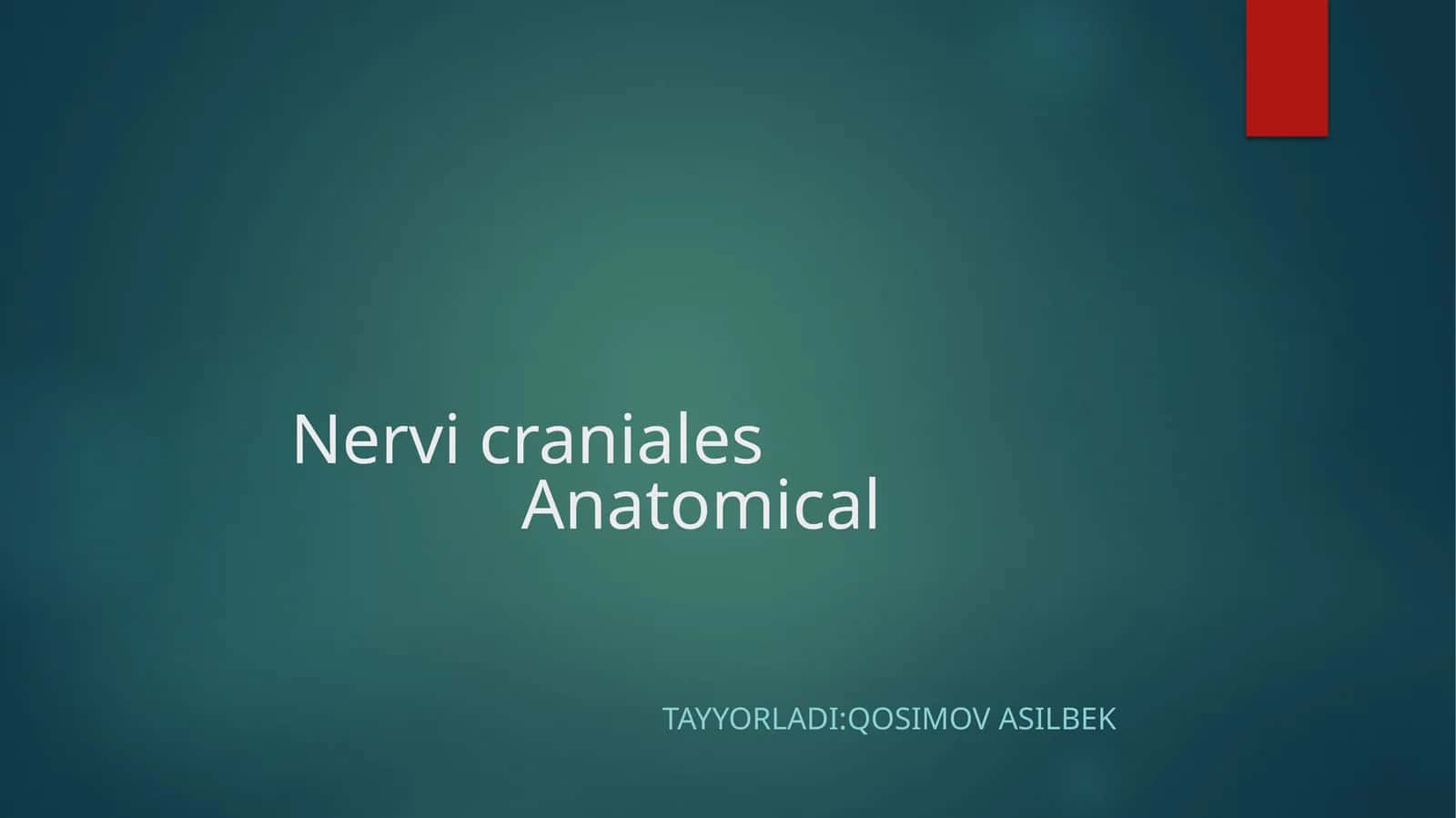 Nervi cranialesAnatomical