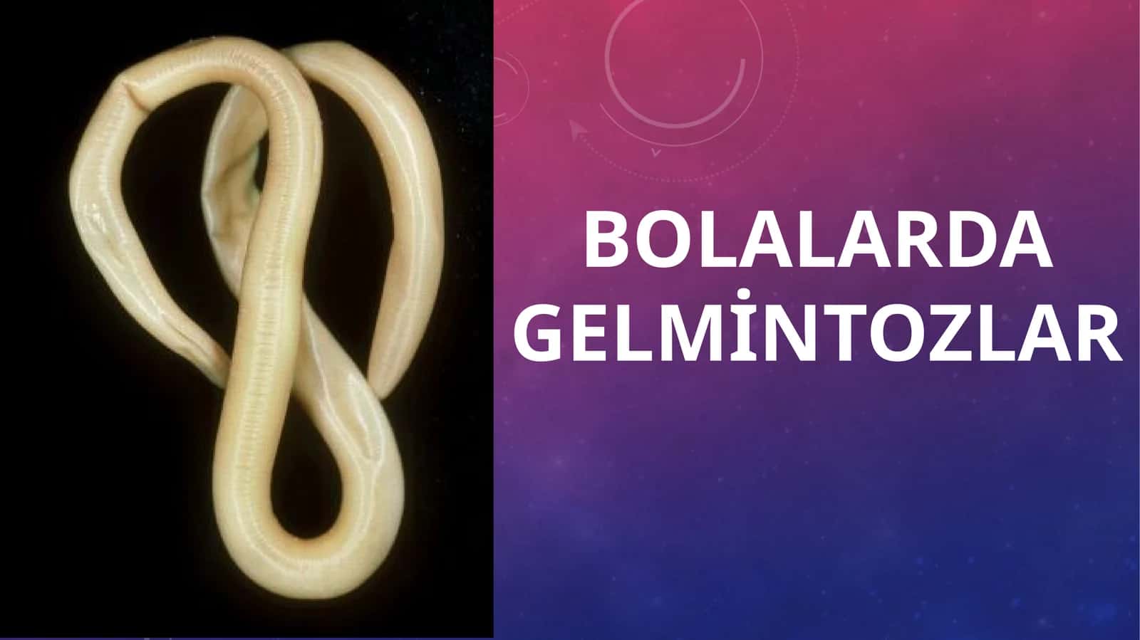 Bolalarda gelmintozlar