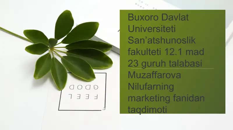Marketing fanidagi taqdimot