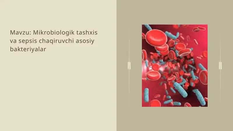 Mikrobiologik tashxis va sepsis chaqiruvchi asosiy bakteriyalar