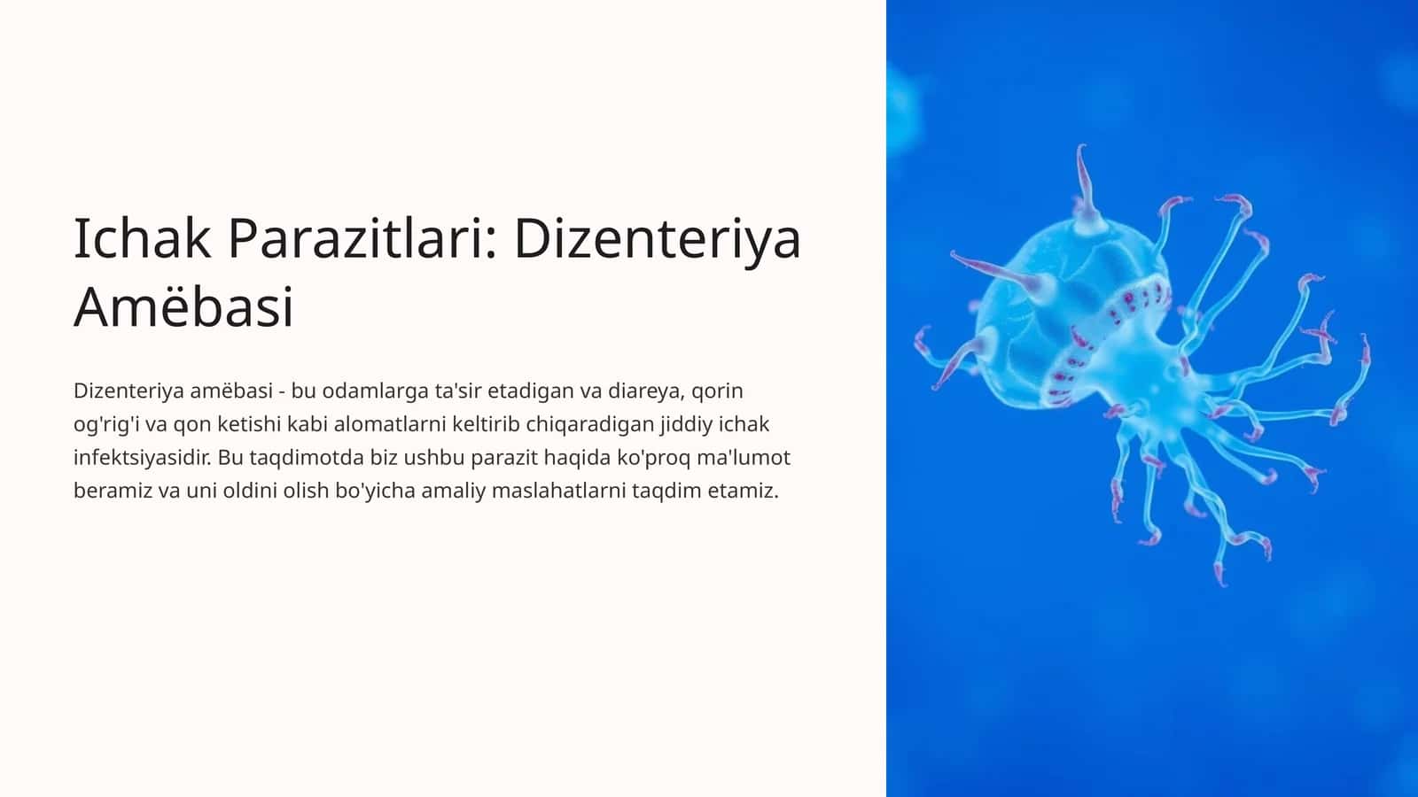 Ichak Parazitlari: Dizenteriya Amëbasi