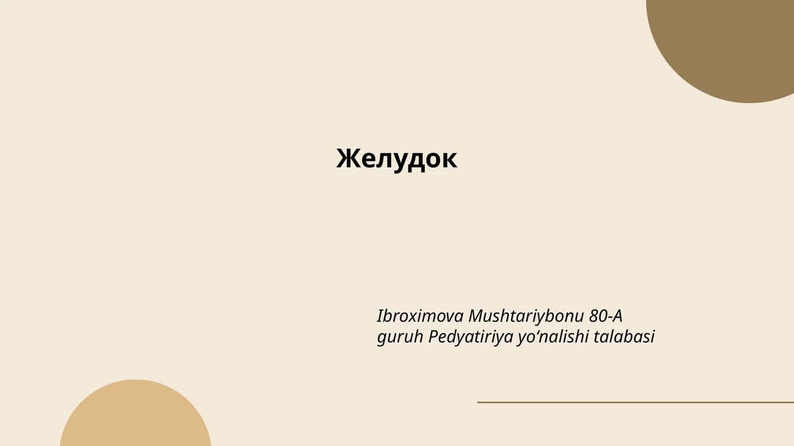 Желудок