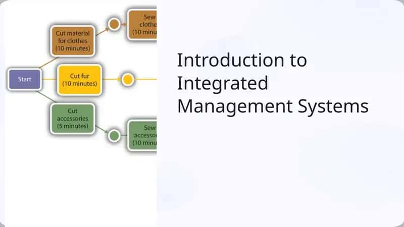 Introduction to Integrated Management Systems