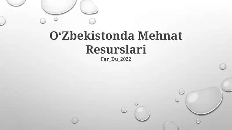 Oʻzbekistonda Mehnat Resurslari