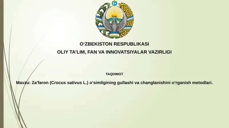 Za'faron(CrocussativusL.)o‘simligininggullashivachanglanishinio‘rganishmetodlari