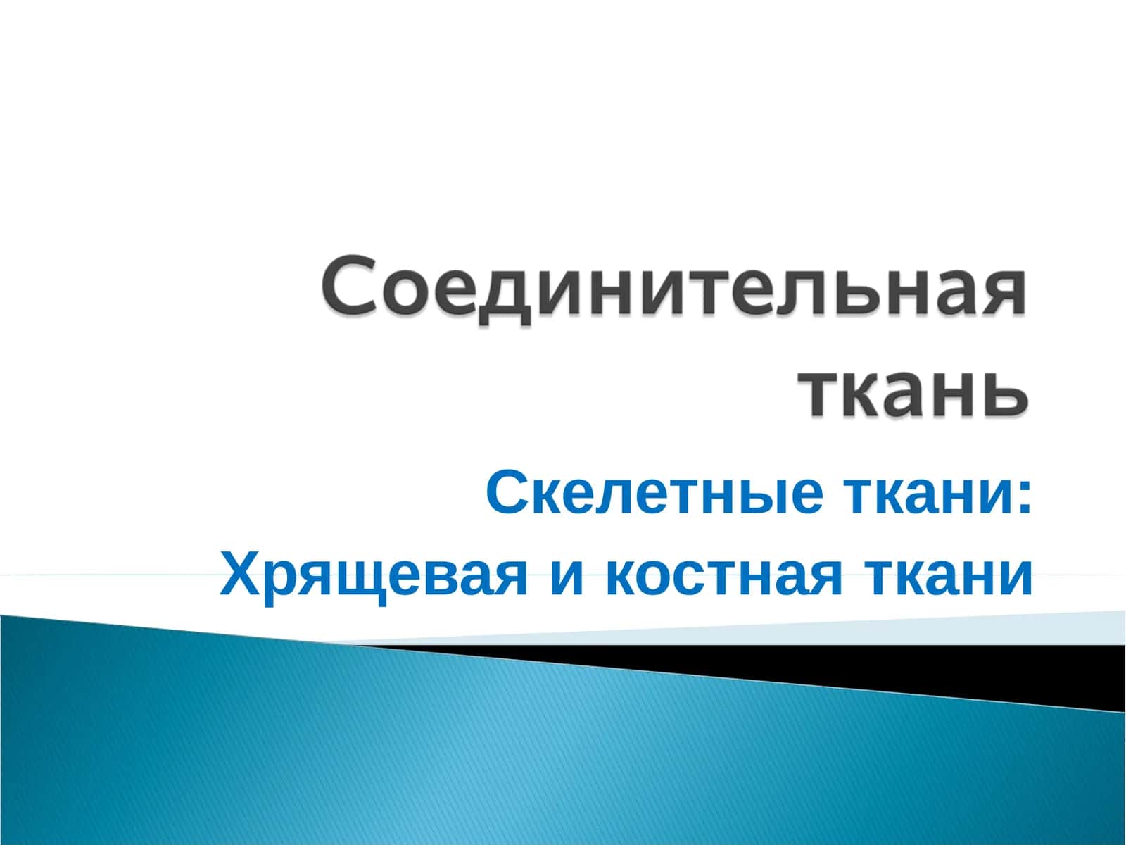 Скелетные ткани: Хрящевая и костная ткани