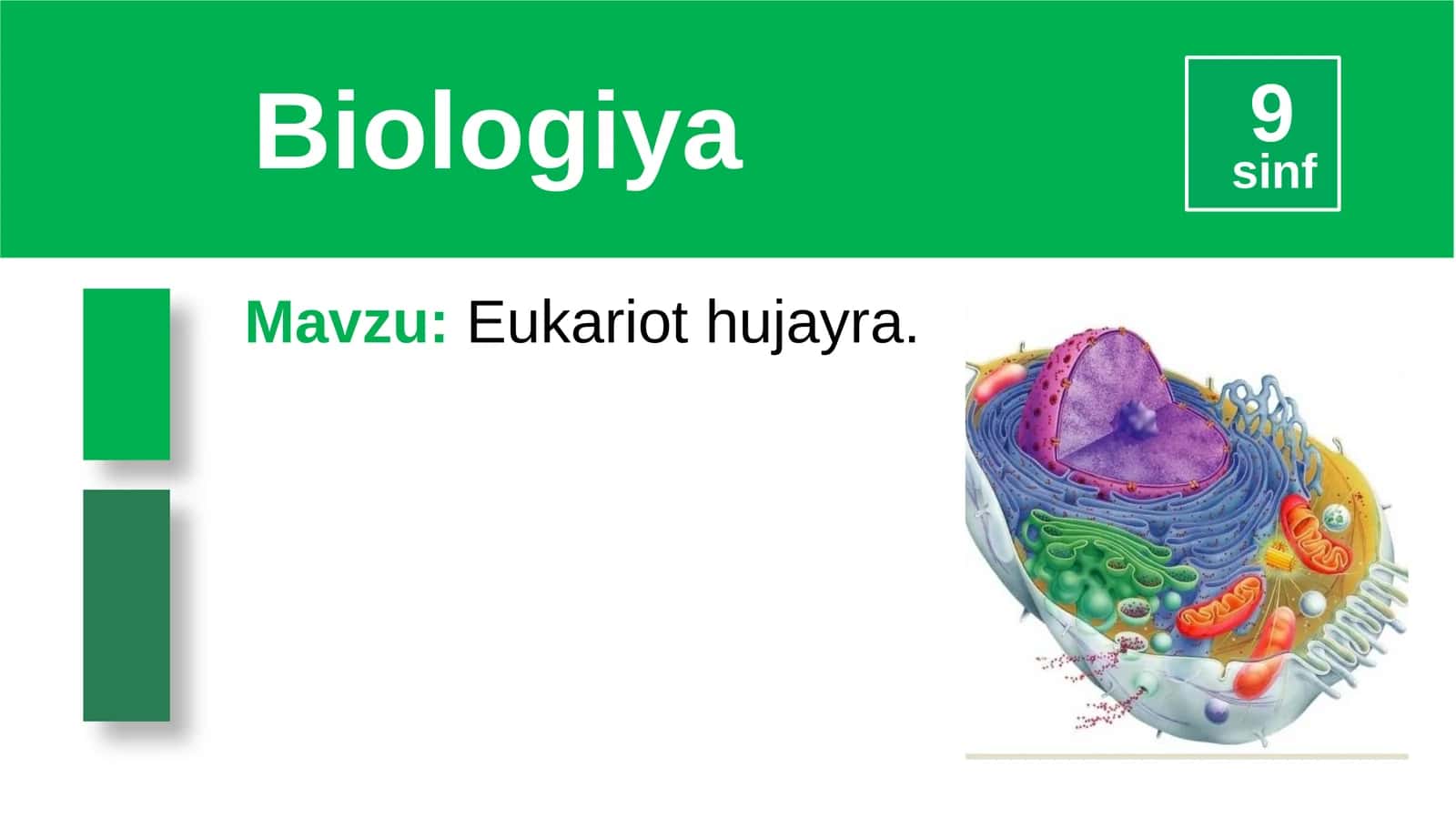 Eukariot hujayra