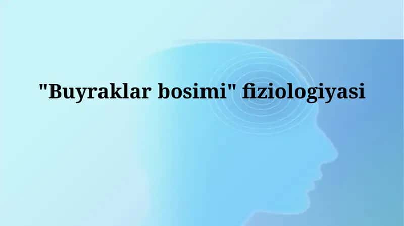 Buyraklar bosimi fiziologiyasi