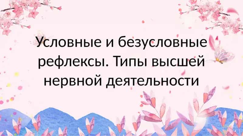 Безусловные и условные рефлексы