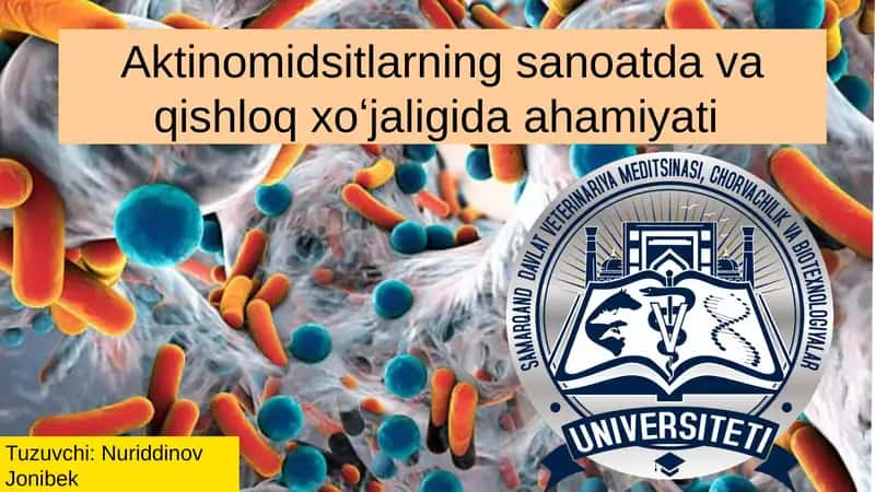 Aktinomidsitlar