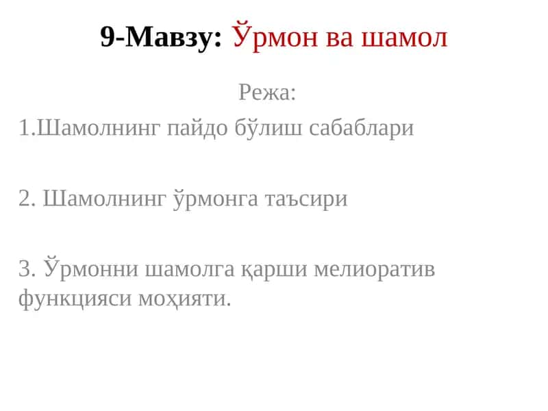 Ўрмон ва шамол