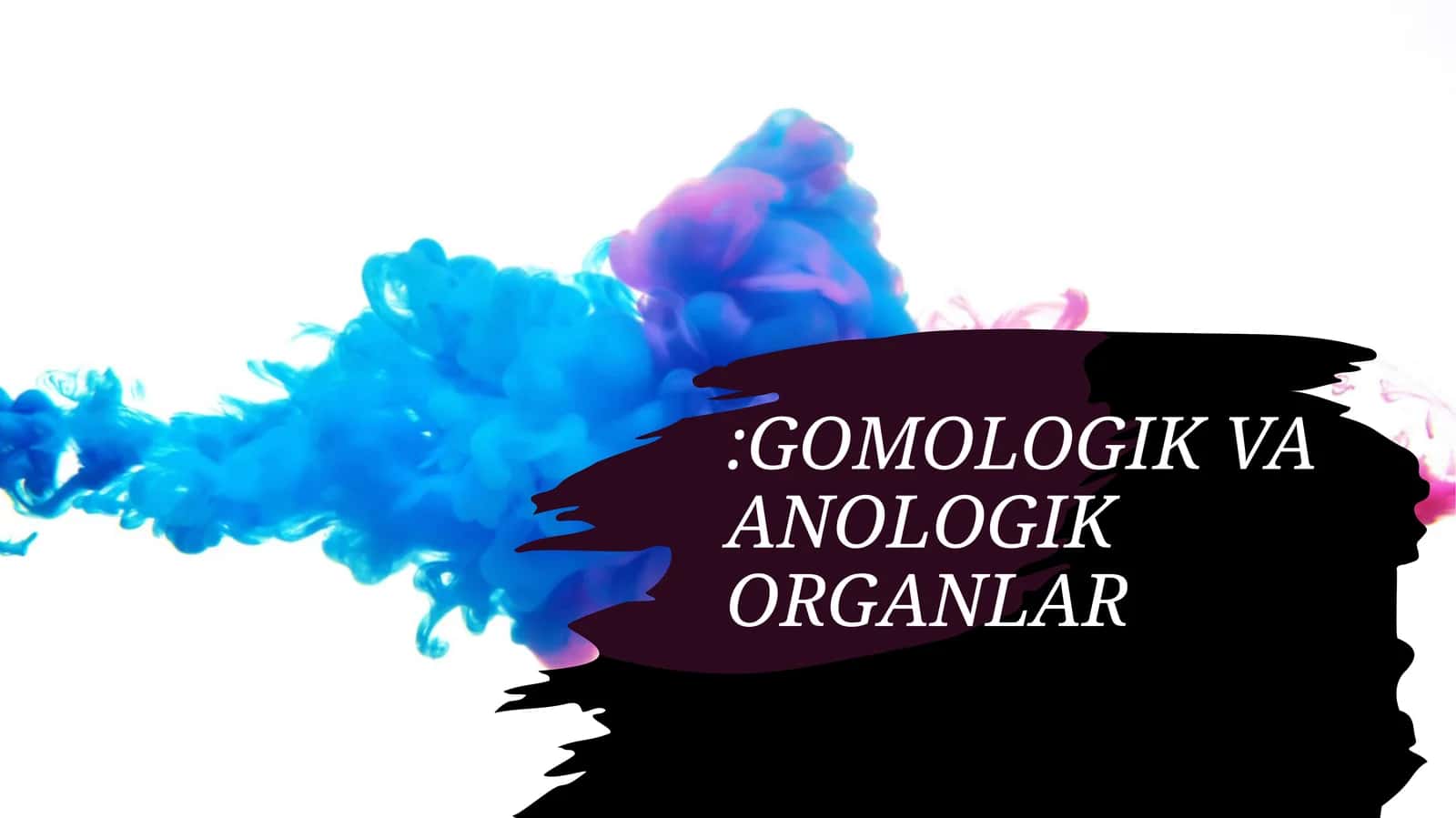 GOMOLOGIK VA ANOLOGIK ORGANLAR