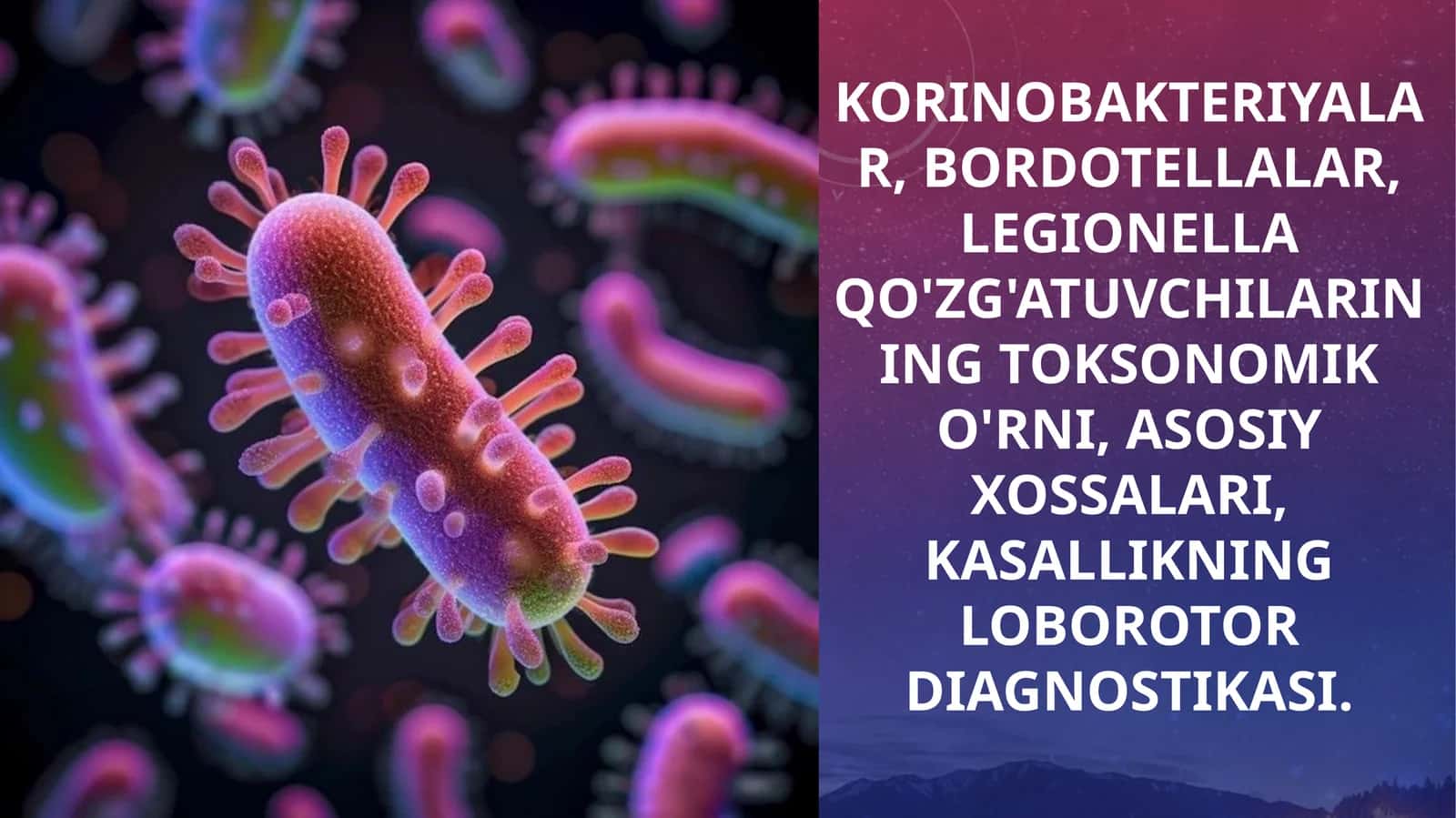 korinobakteriyalar, bordotellalar, legionella qo'zg'atuvchilarining toksonomik o'rni, asosiy xossalari, kasallikning loborotor diagnostikasi.