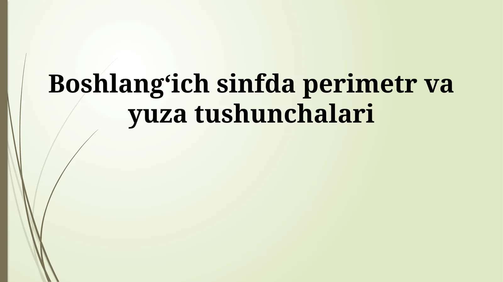 Boshlangʻich sinfda perimetr va yuza tushunchalari