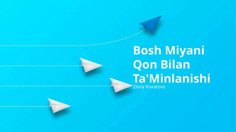 Miya anatomiyasi va qon ta'minoti