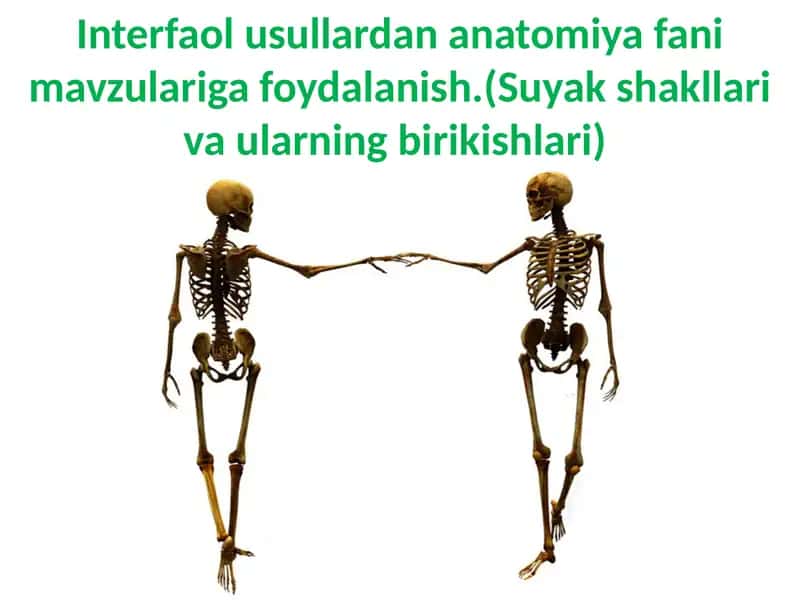 Interfaol usullardan anatomiya fani mavzulariga foydalanish.(Suyakshakllarivaularningbirikishlari)
