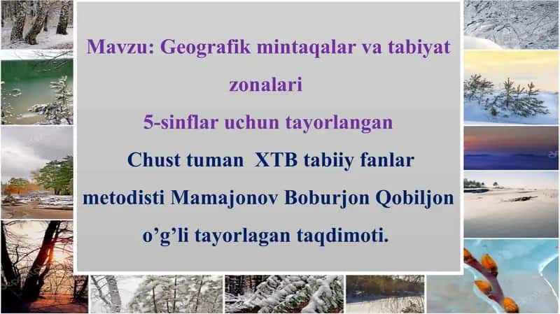 Geografik mintaqalar va tabiat zonalari