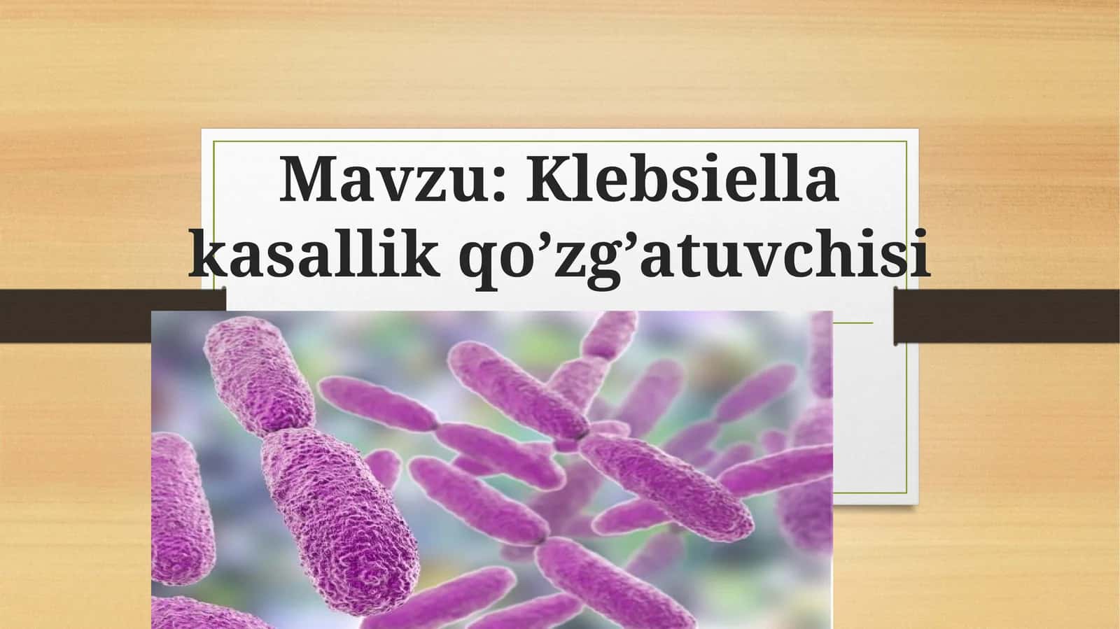 Klebsiella kasallik qo’zg’atuvchisi