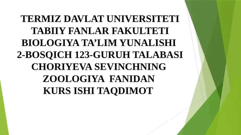 Surxondaryo viloyati sharoitida uchrovchi ilonlar