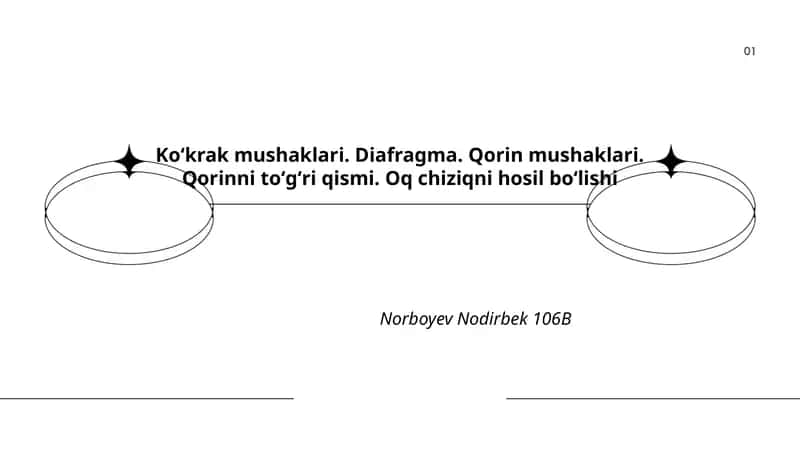 Koʻkrak mushaklari anatomiyasi