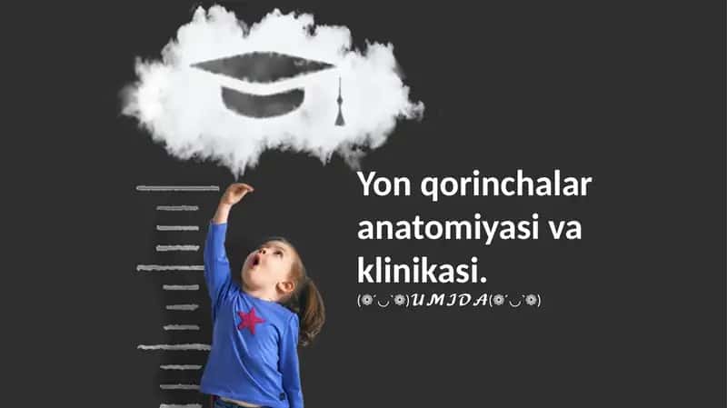Yon qorinchalar anatomiyasi va klinikasi.