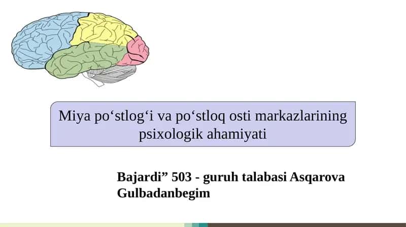 Miya po‘stlog‘i va po‘stloq osti markazlarining psixologik ahamiyati