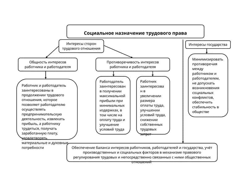 Социальное назначение трудового права