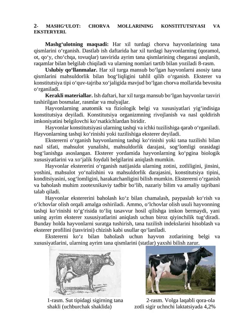 Chorva Mollarining Konstitutsiyasi va Ekstereri