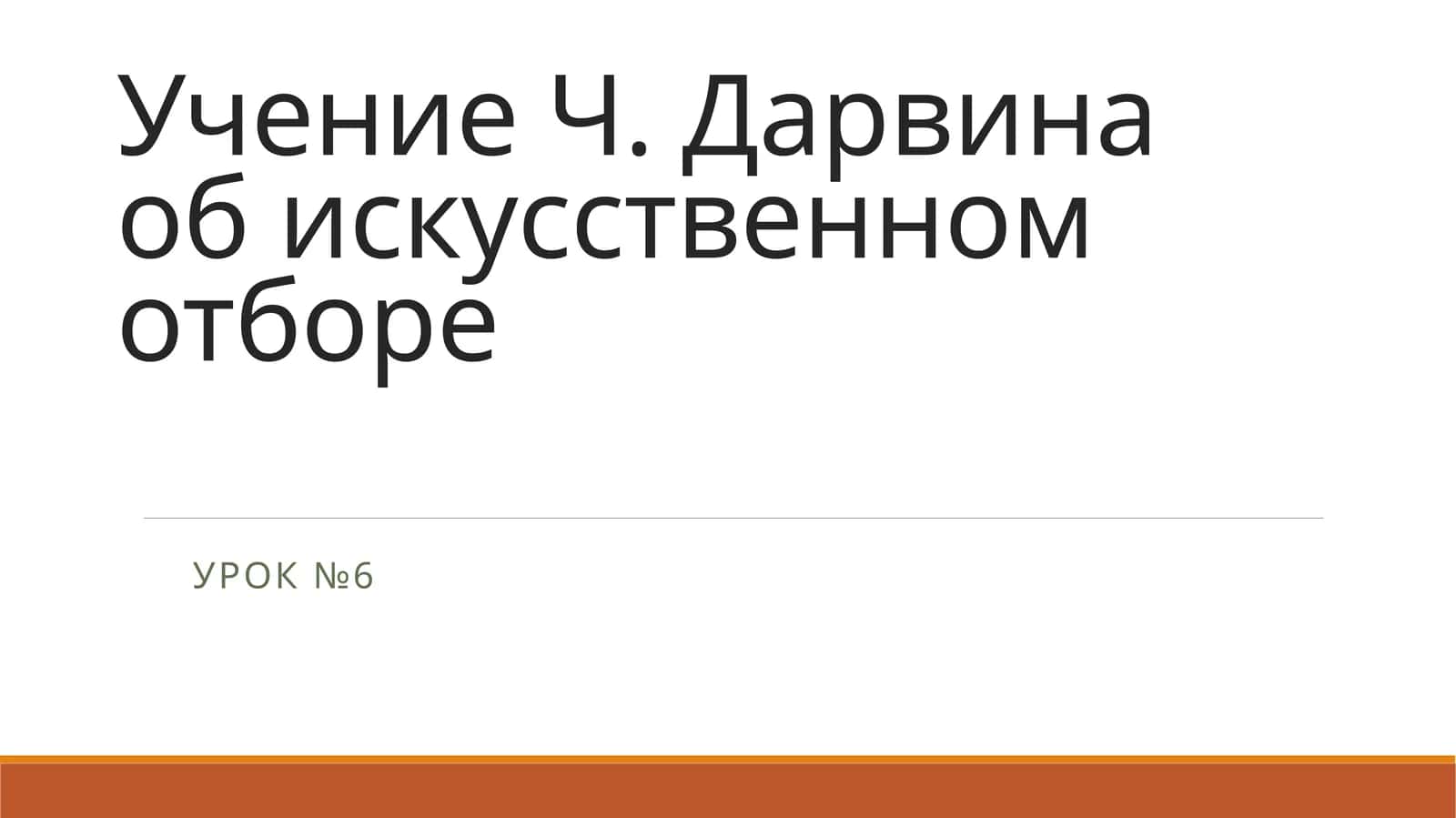 Дикая утка кряква