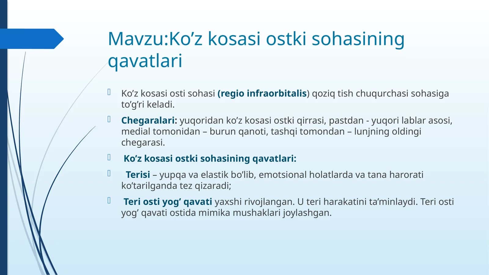 Ko'z kosasi ostki sohasining qavatlari