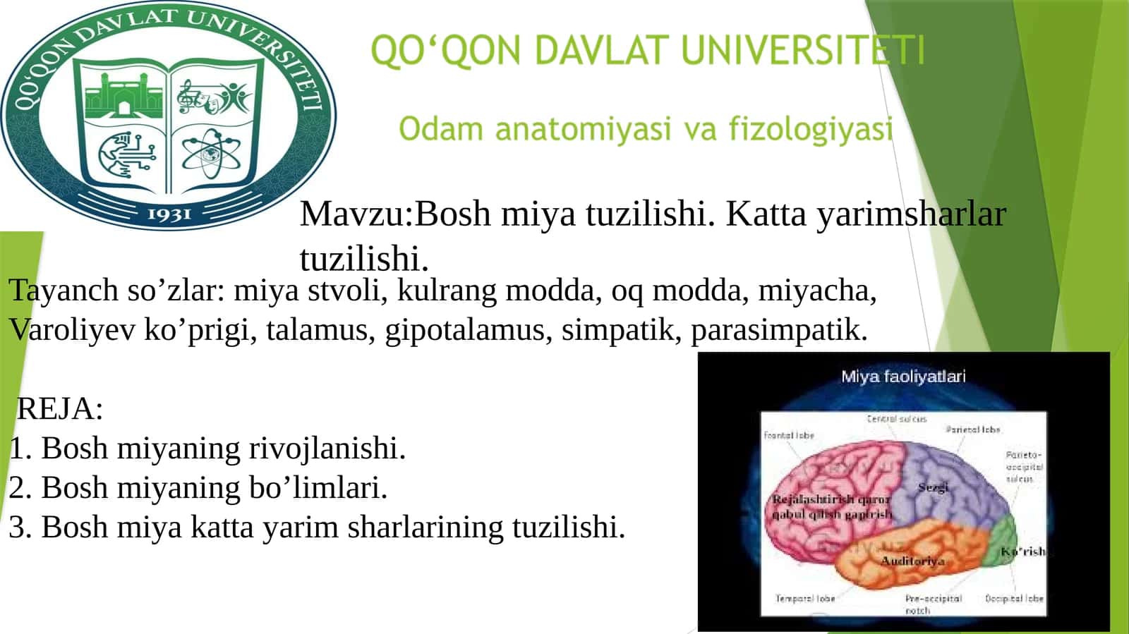 Bosh miya tuzilishi