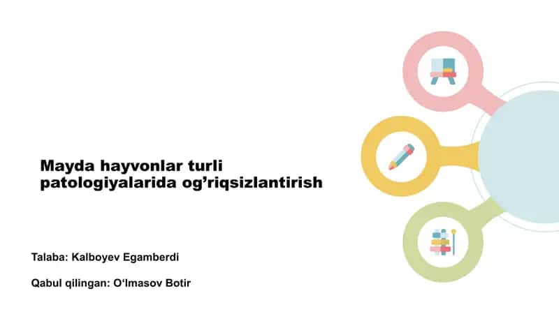 Mayda hayvonlar turli patologiyalarida og’riqsizlantirish