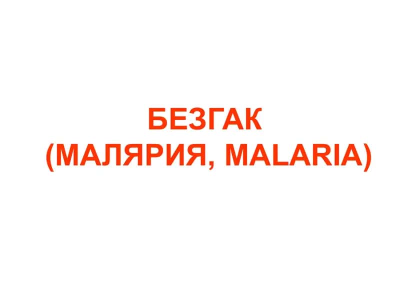 БЕЗГАК(МАЛЯРИЯ,MALARIA)