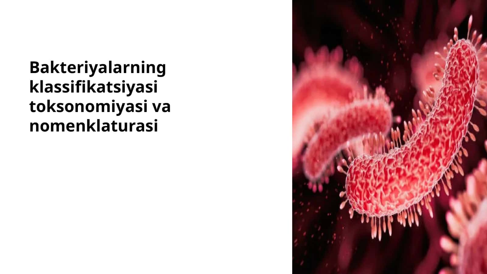 Bakteriyalarning klassifikatsiyasi toksonomiyasi va nomenklaturasi
