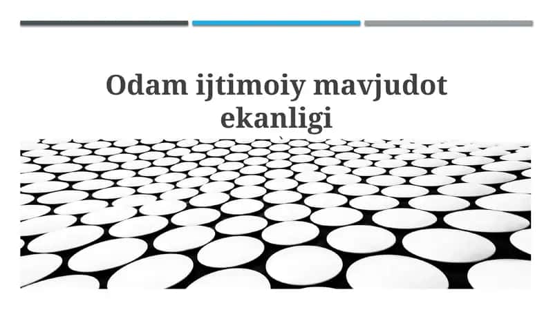 Ijtimoiy hayvon tushunchasi va mohiyati