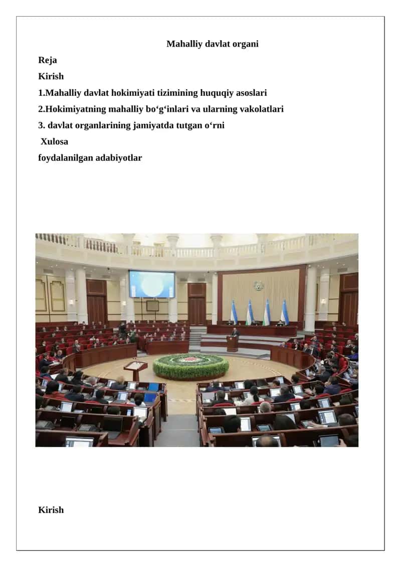 Mahalliy Davlat Organi