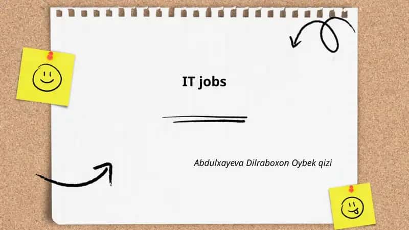 Software Engineer