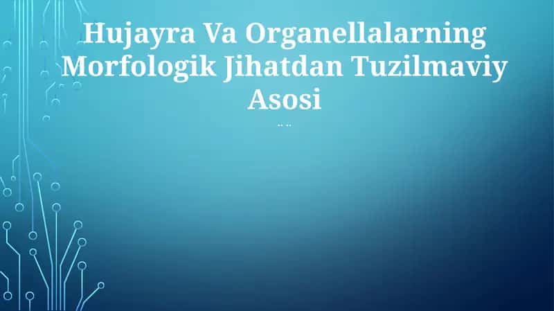 Hujayra Va Organellalarning Morfologik Jihatdan Tuzilmaviy Asosi
