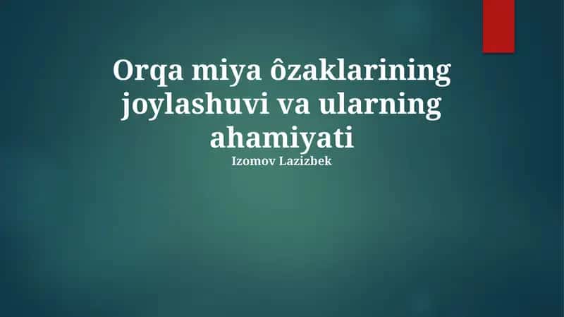 Orqa miya ôzaklarining joylashuvi va ularning ahamiyati