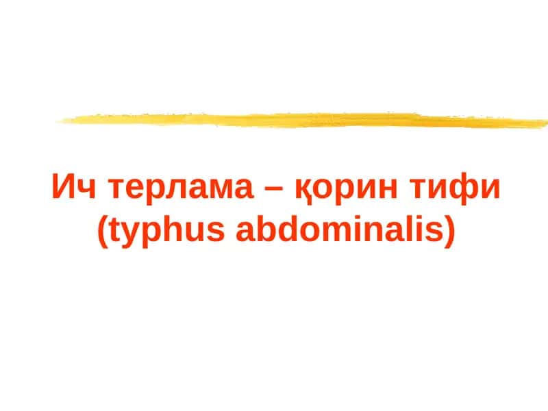 Ичтерлама–қорин тифи (typhusabdominalis)