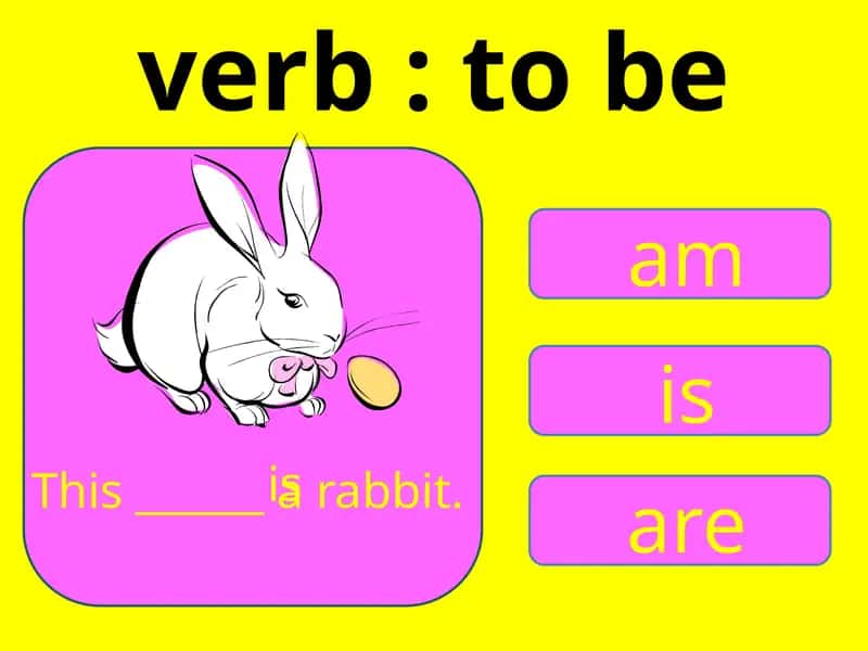 French Language Practice