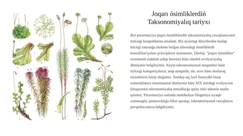 Joqarı ósimliklerdiń Taksonomiyalıq tariyxı