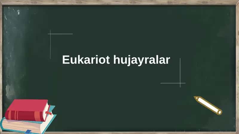 Eukariot hujayralar