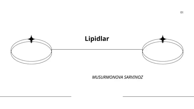 Lipidlar