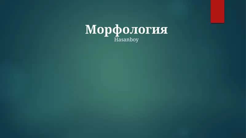 Морфология