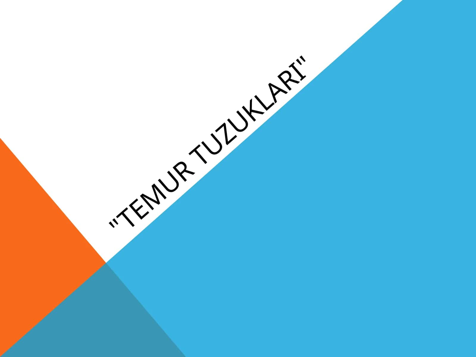 Temur tuzuklari