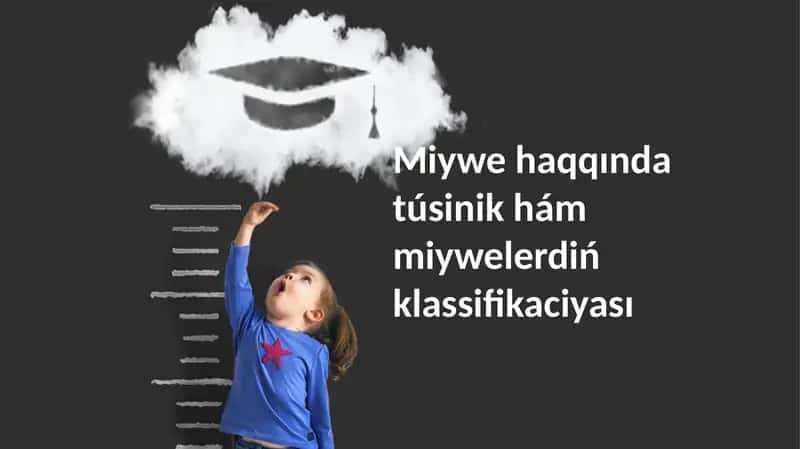 Miywelerdiń klassifikaciyası