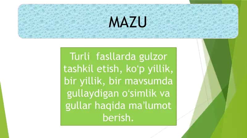 Turli fasillarda gulzor tashkil etish ko'b yillik, bir yillik, bir mavsumda gullaydigan o'simliklar