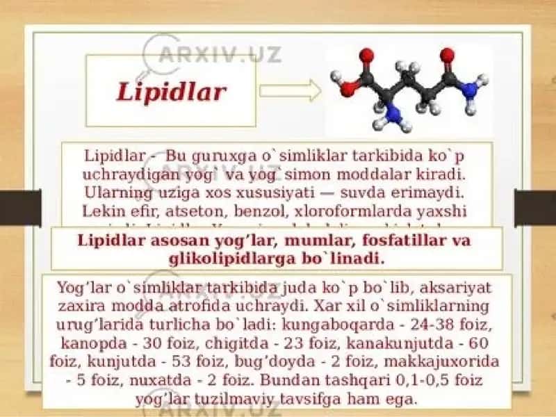 Lipidlar
