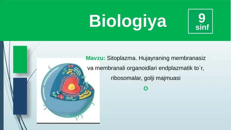 Sitoplazma